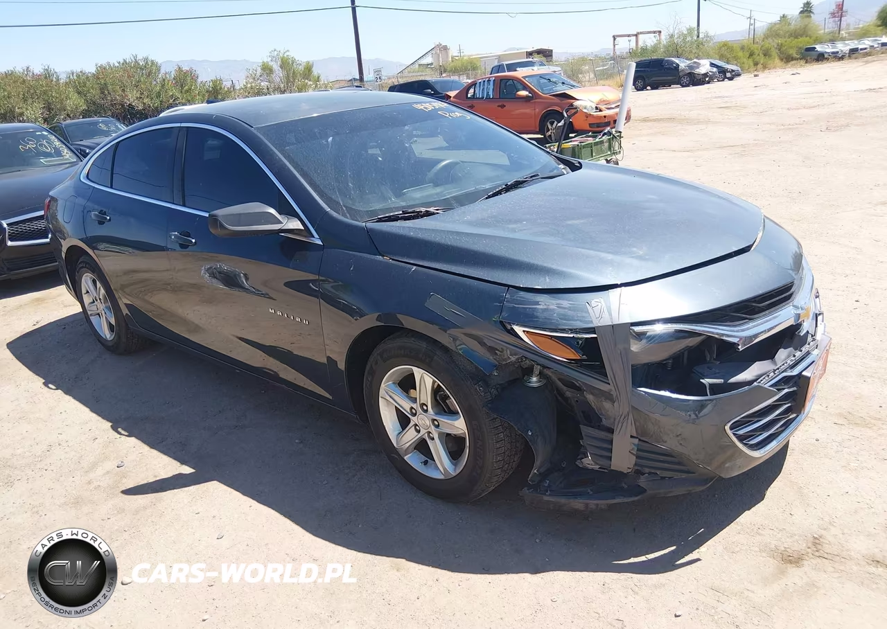 2019 Chevrolet Malibu 1Ls