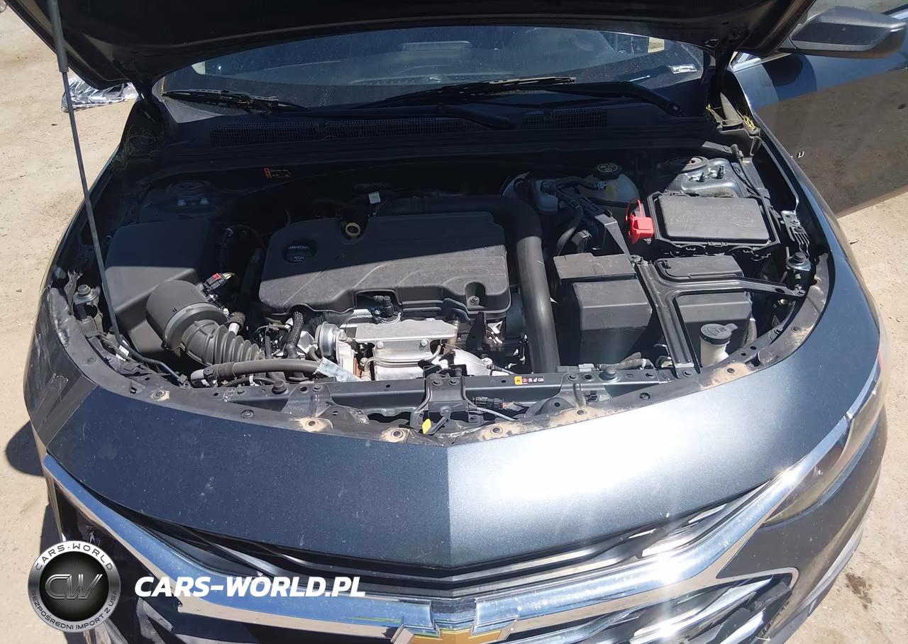2019 Chevrolet Malibu 1Ls VIN:1G1ZB5ST9KF139588 - 10