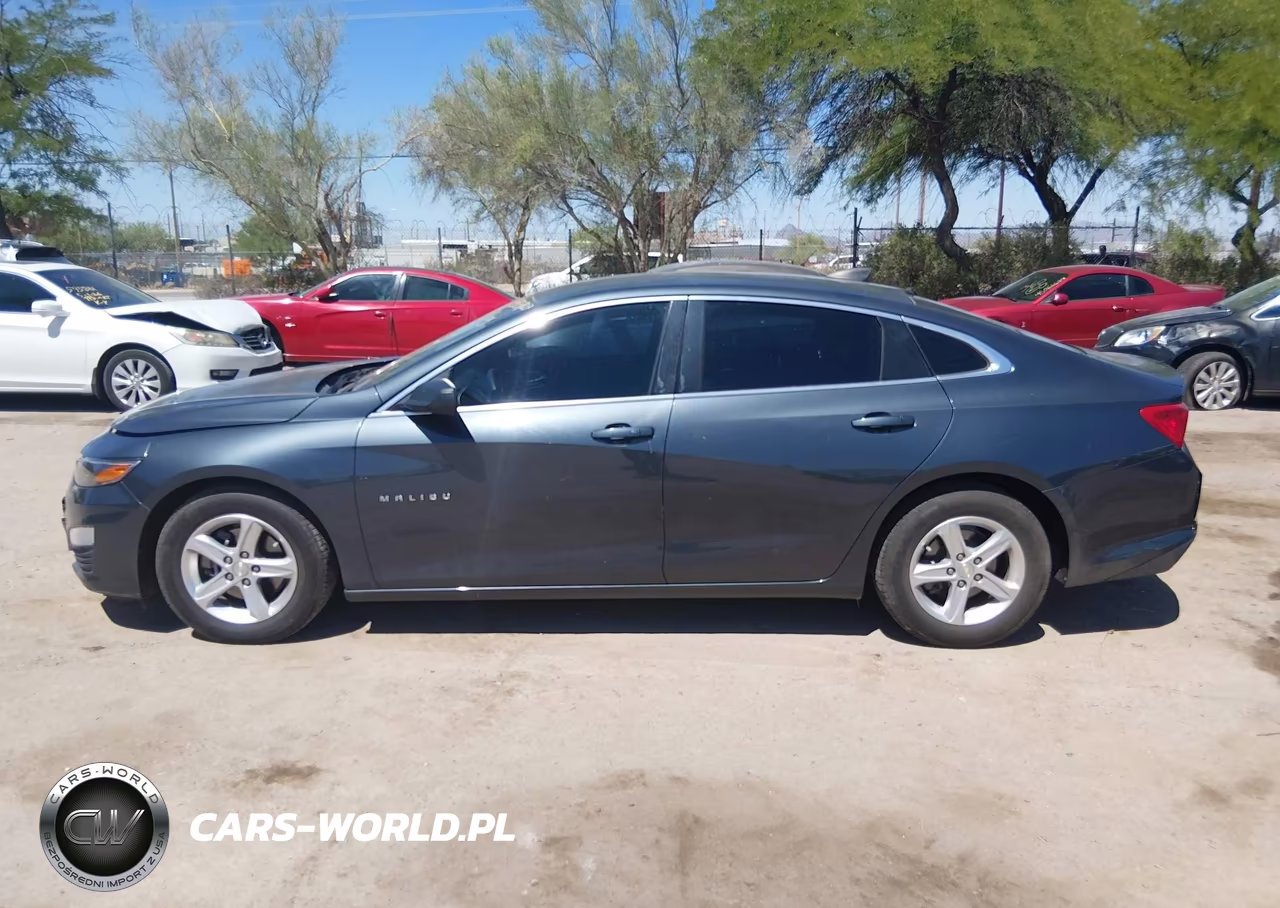 2019 Chevrolet Malibu 1Ls VIN:1G1ZB5ST9KF139588 - 13