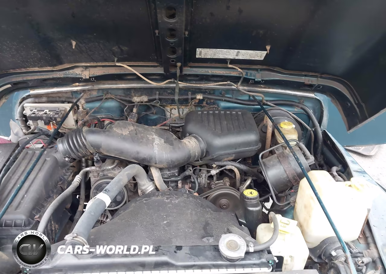 1997 Jeep Wrangler Se VIN:1J4FY29P4VP493463 - 10