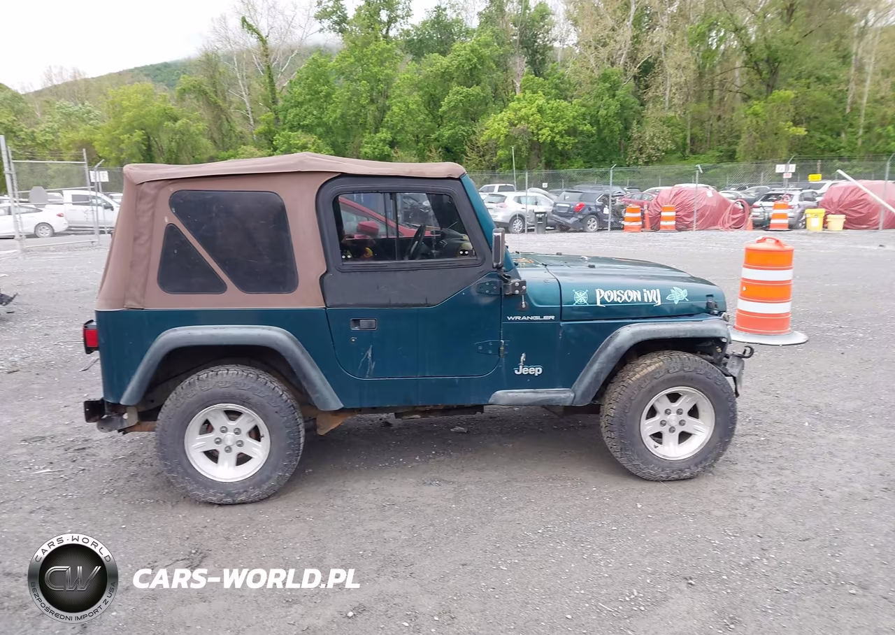 1997 Jeep Wrangler Se VIN:1J4FY29P4VP493463 - 13