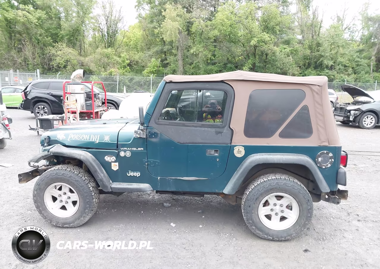 1997 Jeep Wrangler Se VIN:1J4FY29P4VP493463 - 14