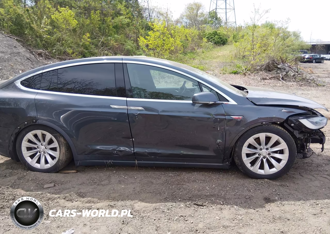 2016 Tesla Model X 60D-70D-75D-90D VIN:5YJXCAE2XGF019821 - 14