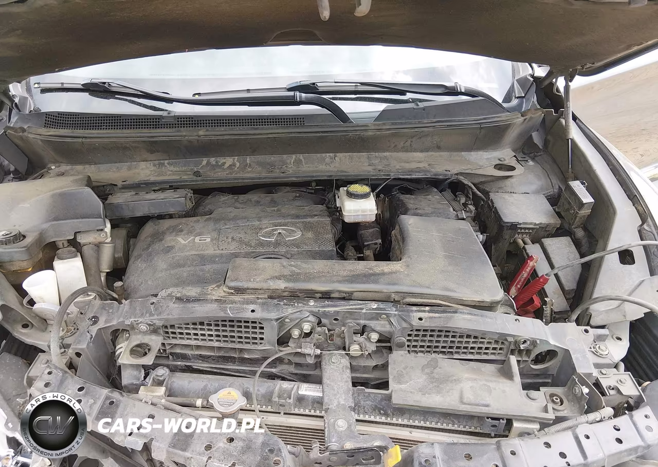 2019 Infiniti Qx60 Pure VIN:5N1DL0MN6KC550962 - 10