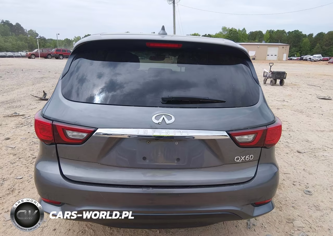 2019 Infiniti Qx60 Pure VIN:5N1DL0MN6KC550962 - 17