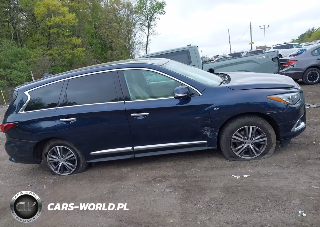 2020 Infiniti Qx60 Pure Awd VIN:5N1DL0MM9LC542458 - 13