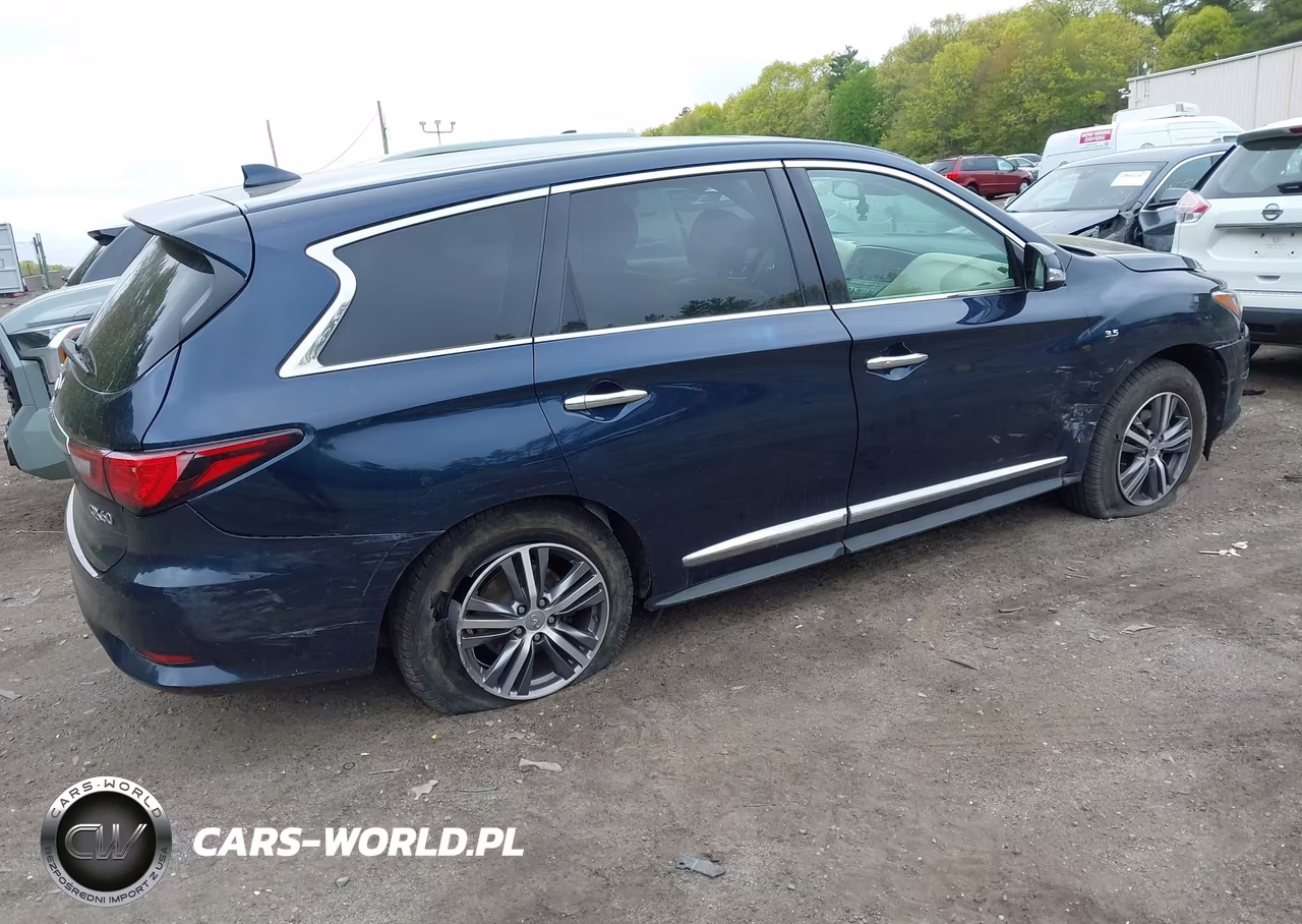 2020 Infiniti Qx60 Pure Awd VIN:5N1DL0MM9LC542458 - 4