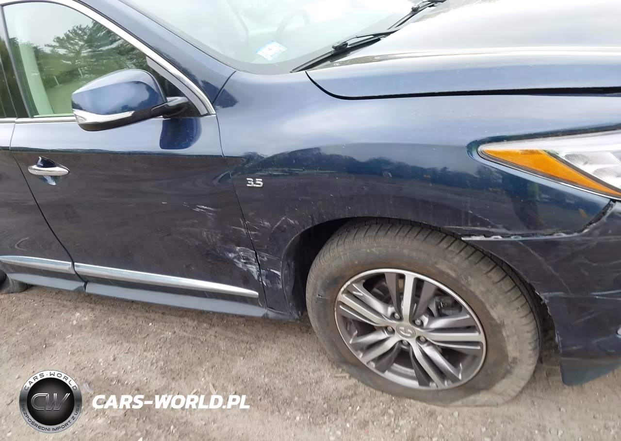 2020 Infiniti Qx60 Pure Awd VIN:5N1DL0MM9LC542458 - 6