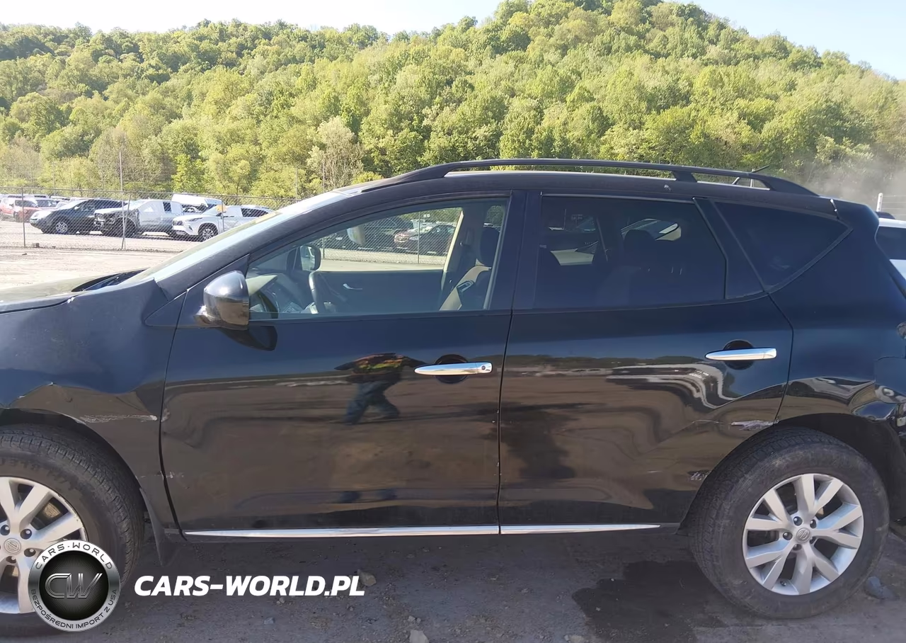 2013 Nissan Murano Sv VIN:JN8AZ1MW2DW319535 - 15
