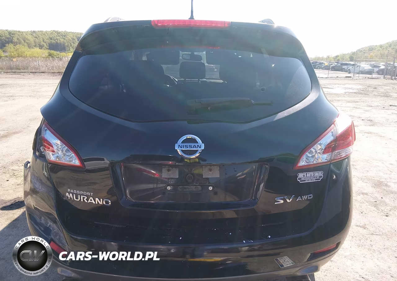 2013 Nissan Murano Sv VIN:JN8AZ1MW2DW319535 - 17