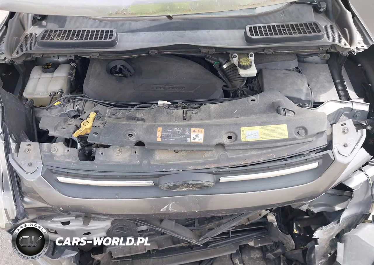 2014 Ford Escape Se VIN:1FMCU0GX6EUC65943 - 10