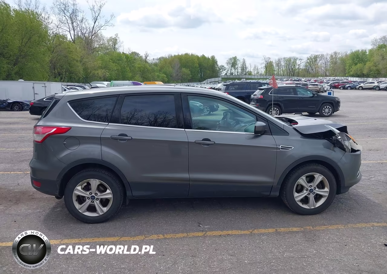 2014 Ford Escape Se VIN:1FMCU0GX6EUC65943 - 13