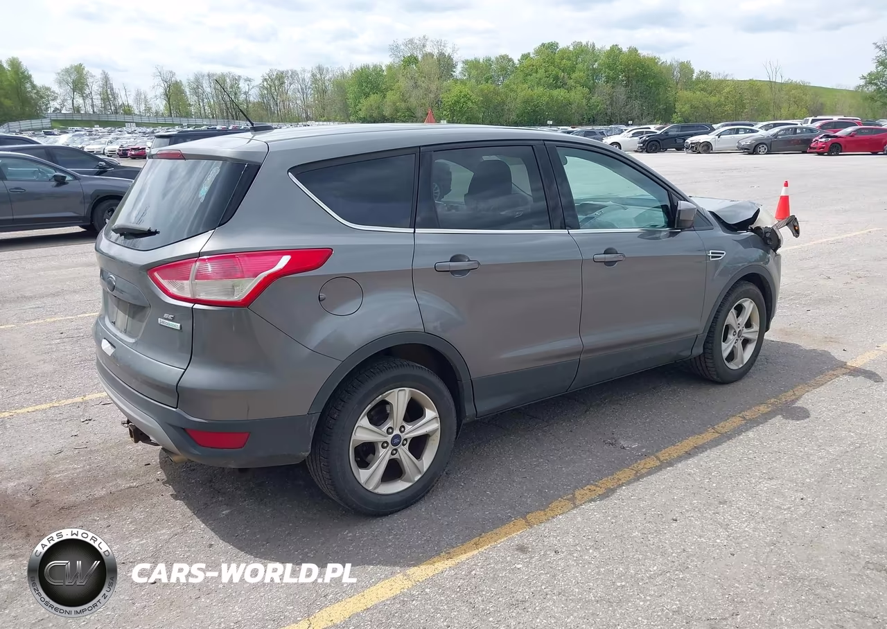 2014 Ford Escape Se VIN:1FMCU0GX6EUC65943 - 4