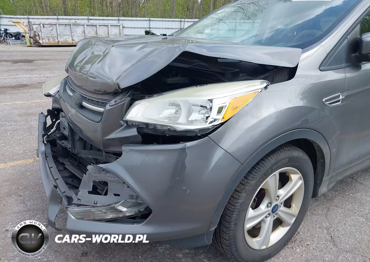 2014 Ford Escape Se VIN:1FMCU0GX6EUC65943 - 6