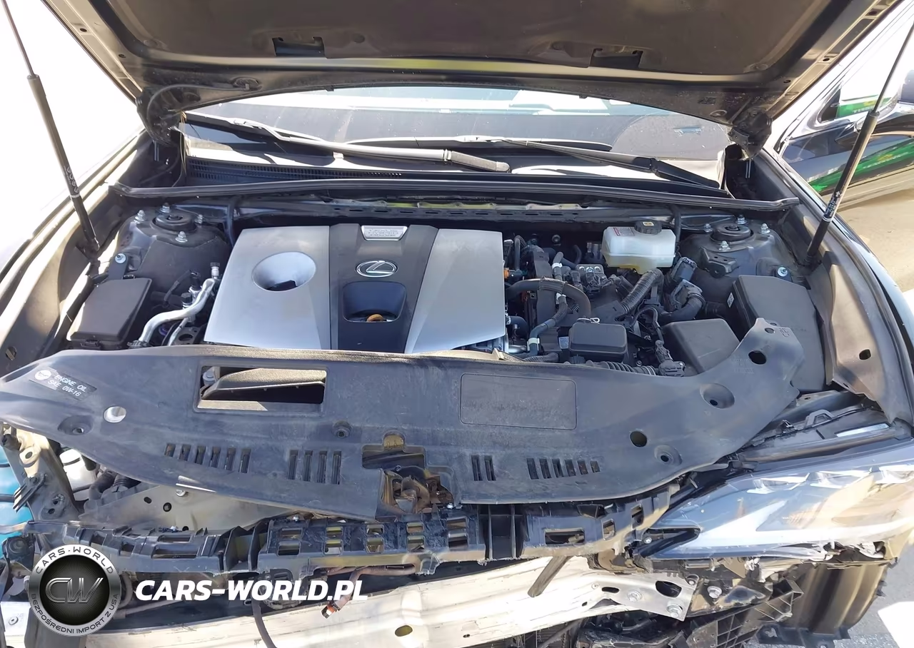 2020 Lexus Es 300H Luxury VIN:58AE21B19LU011169 - 10