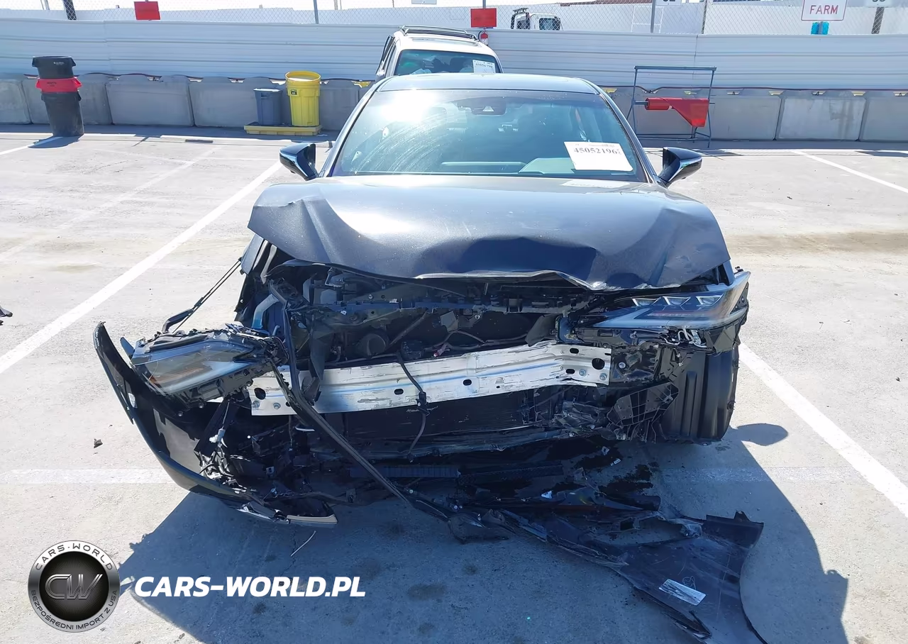 2020 Lexus Es 300H Luxury VIN:58AE21B19LU011169 - 11
