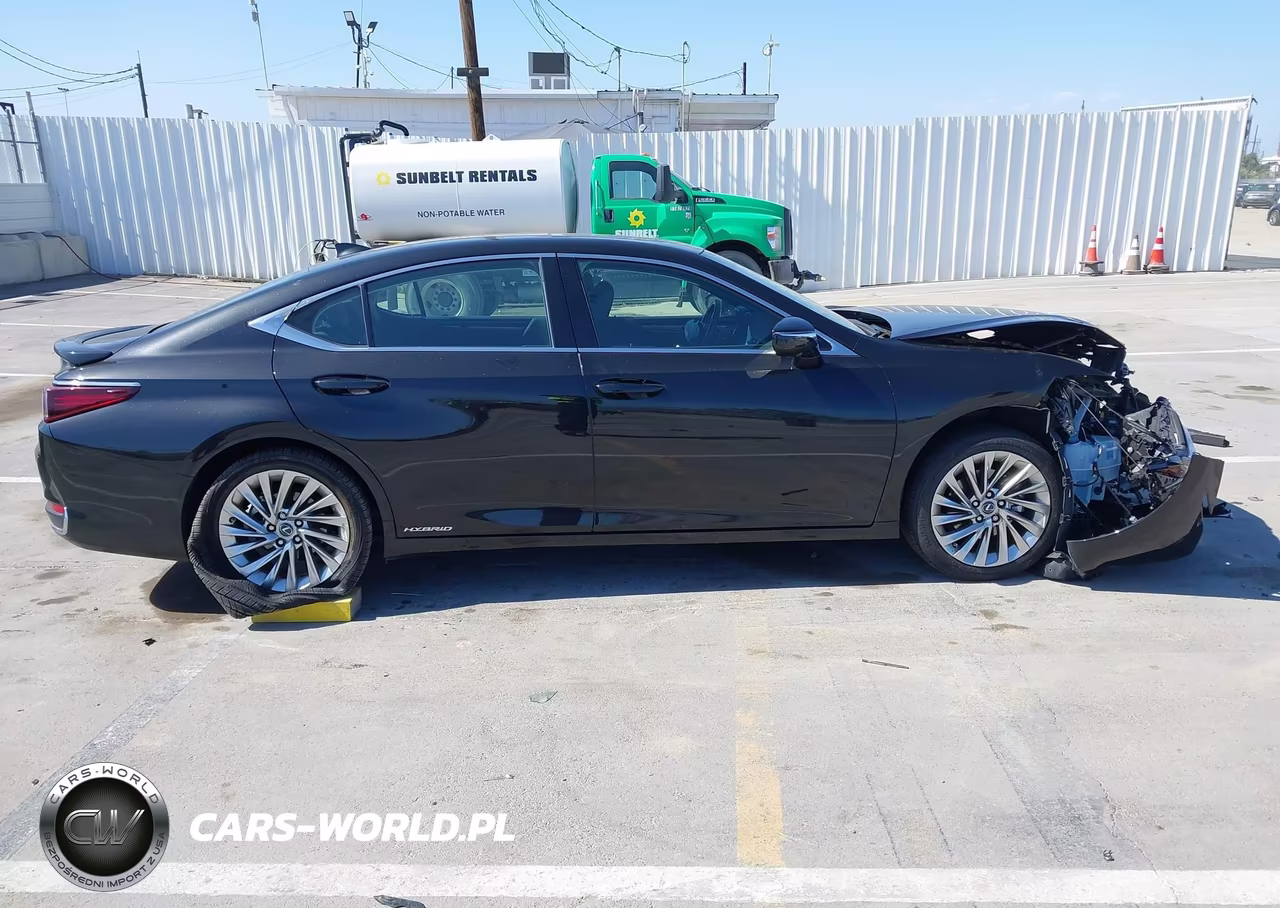 2020 Lexus Es 300H Luxury VIN:58AE21B19LU011169 - 12