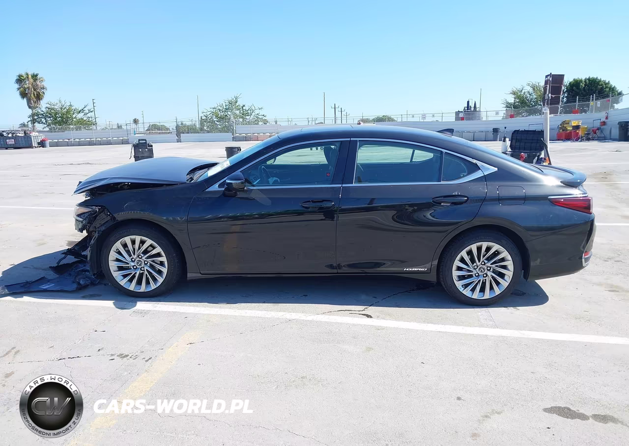2020 Lexus Es 300H Luxury VIN:58AE21B19LU011169 - 13