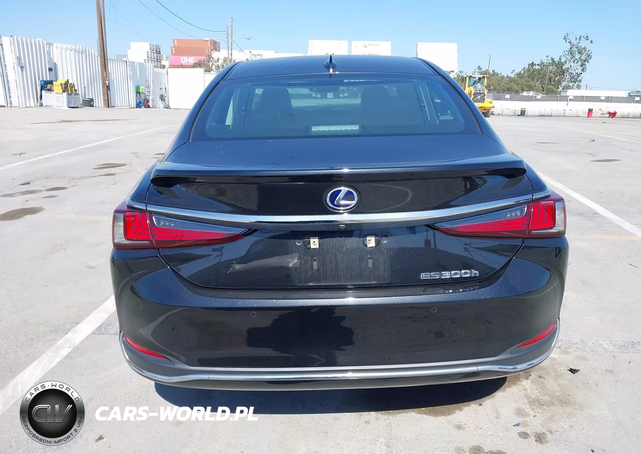 2020 Lexus Es 300H Luxury VIN:58AE21B19LU011169 - 15