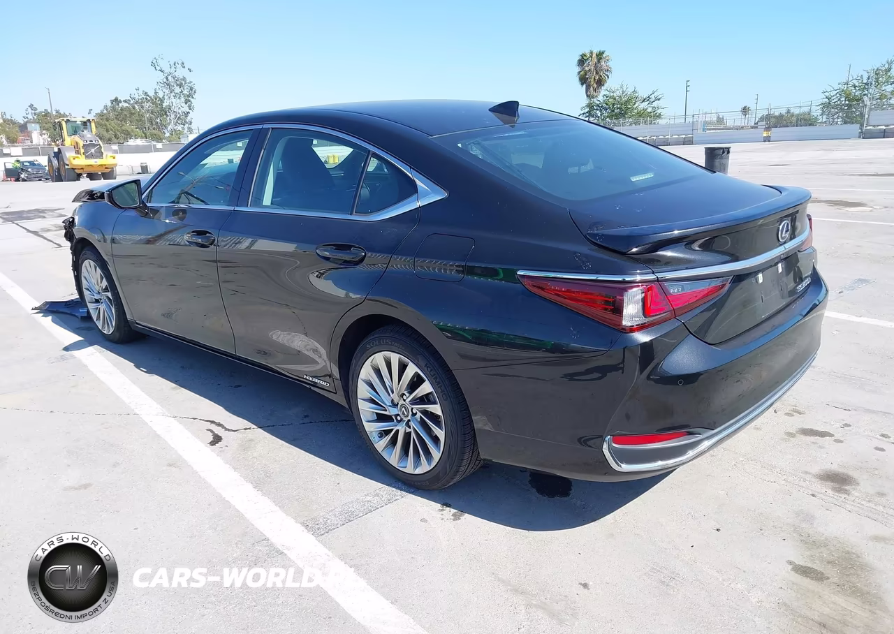 2020 Lexus Es 300H Luxury VIN:58AE21B19LU011169 - 3