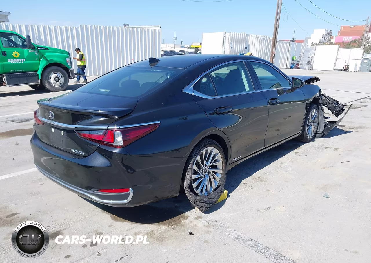 2020 Lexus Es 300H Luxury VIN:58AE21B19LU011169 - 4