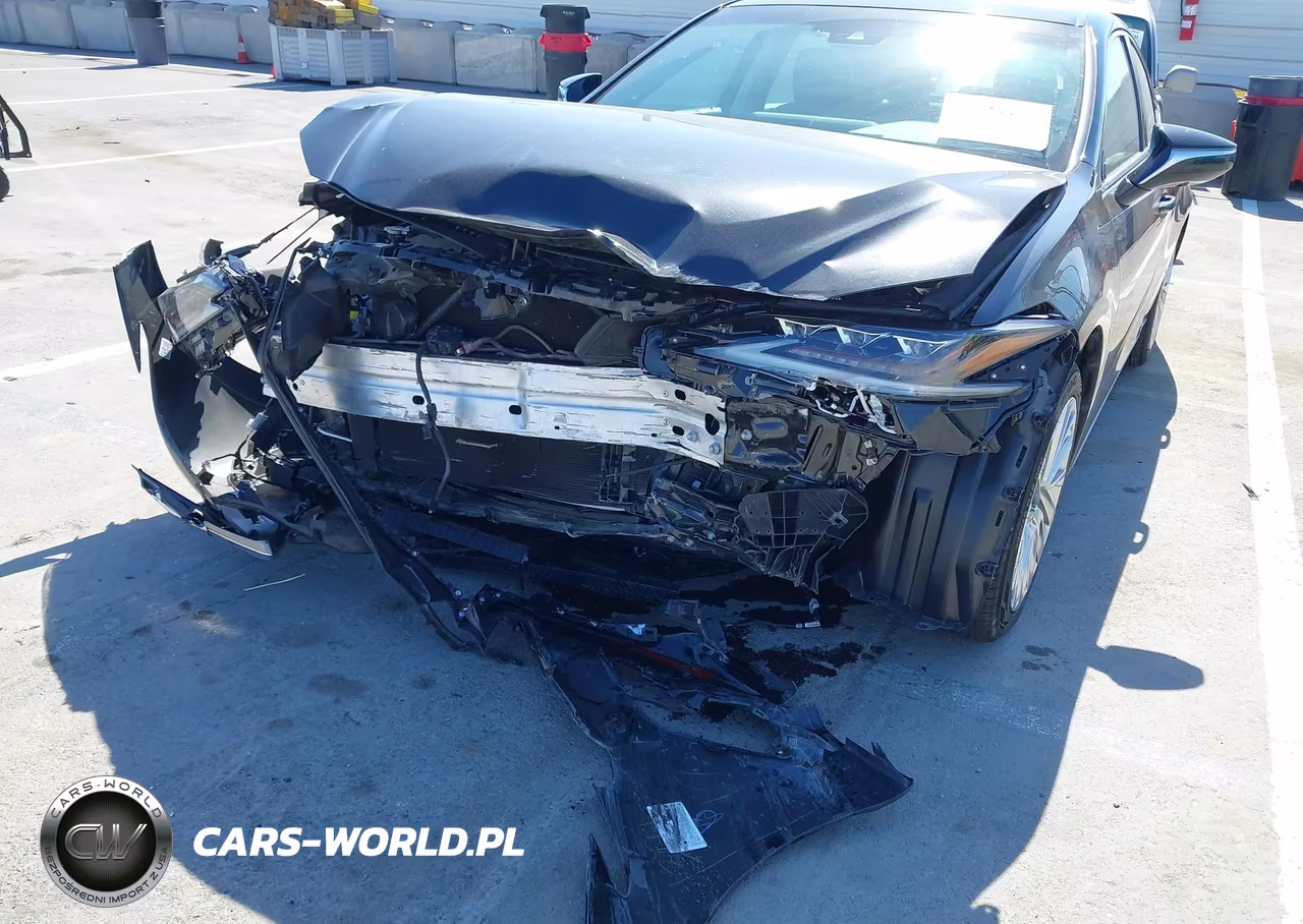2020 Lexus Es 300H Luxury VIN:58AE21B19LU011169 - 6