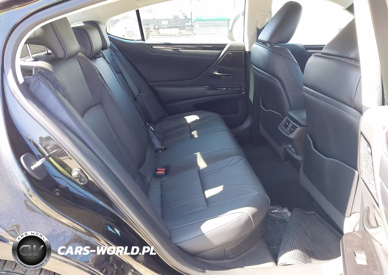 2020 Lexus Es 300H Luxury VIN:58AE21B19LU011169 - 8
