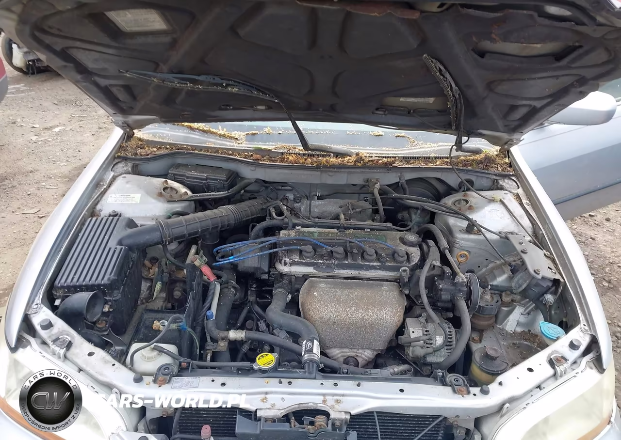 1999 Honda Accord Lx VIN:1HGCG6659XA124174 - 10
