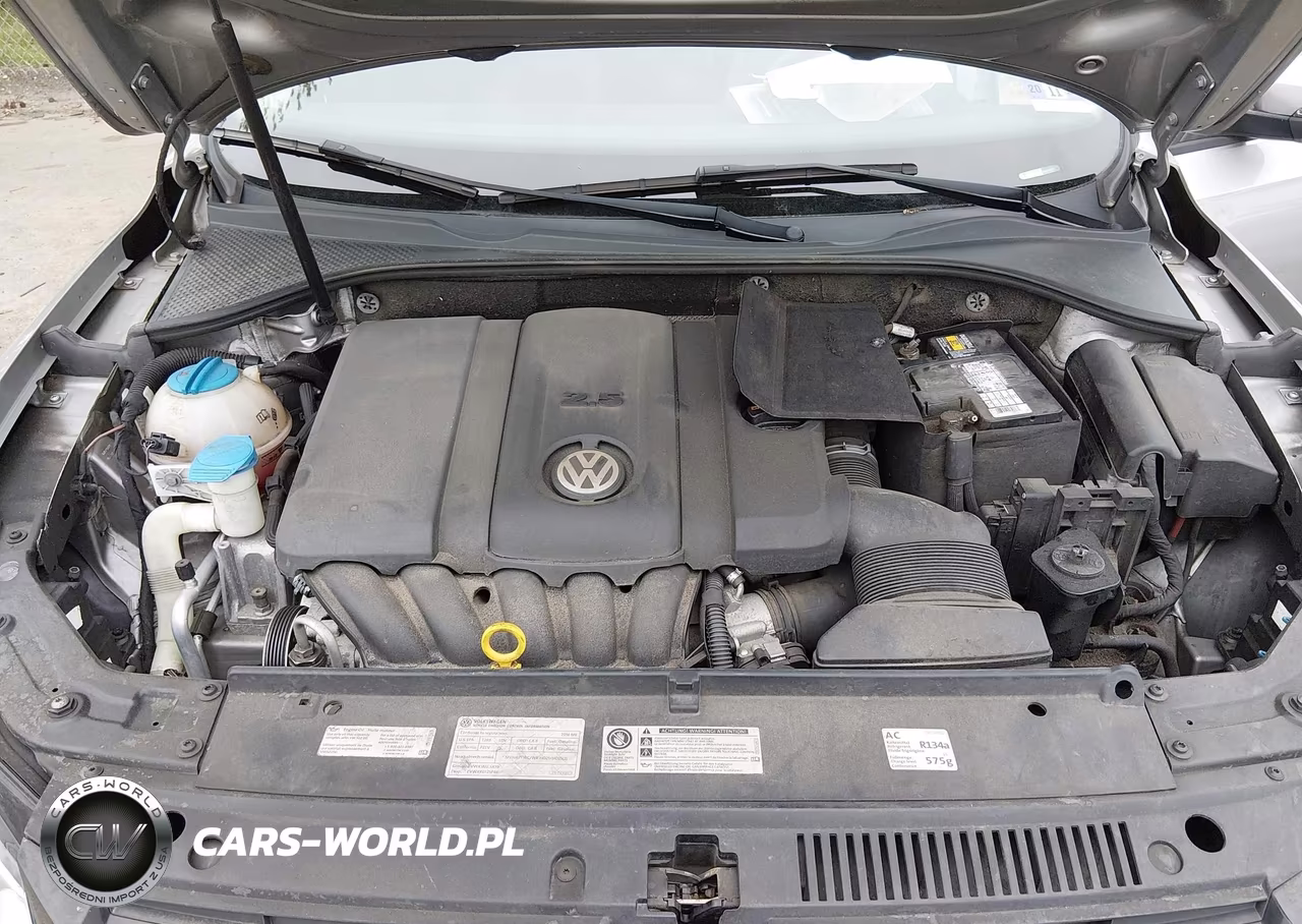 2014 Volkswagen Passat 2.5L Wolfsburg Edition VIN:1VWAP7A30EC005459 - 10