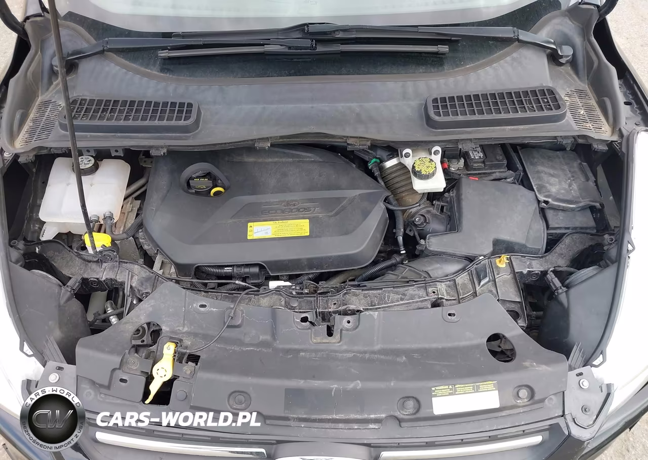 2014 Ford Escape Se VIN:1FMCU9GX4EUB78756 - 10