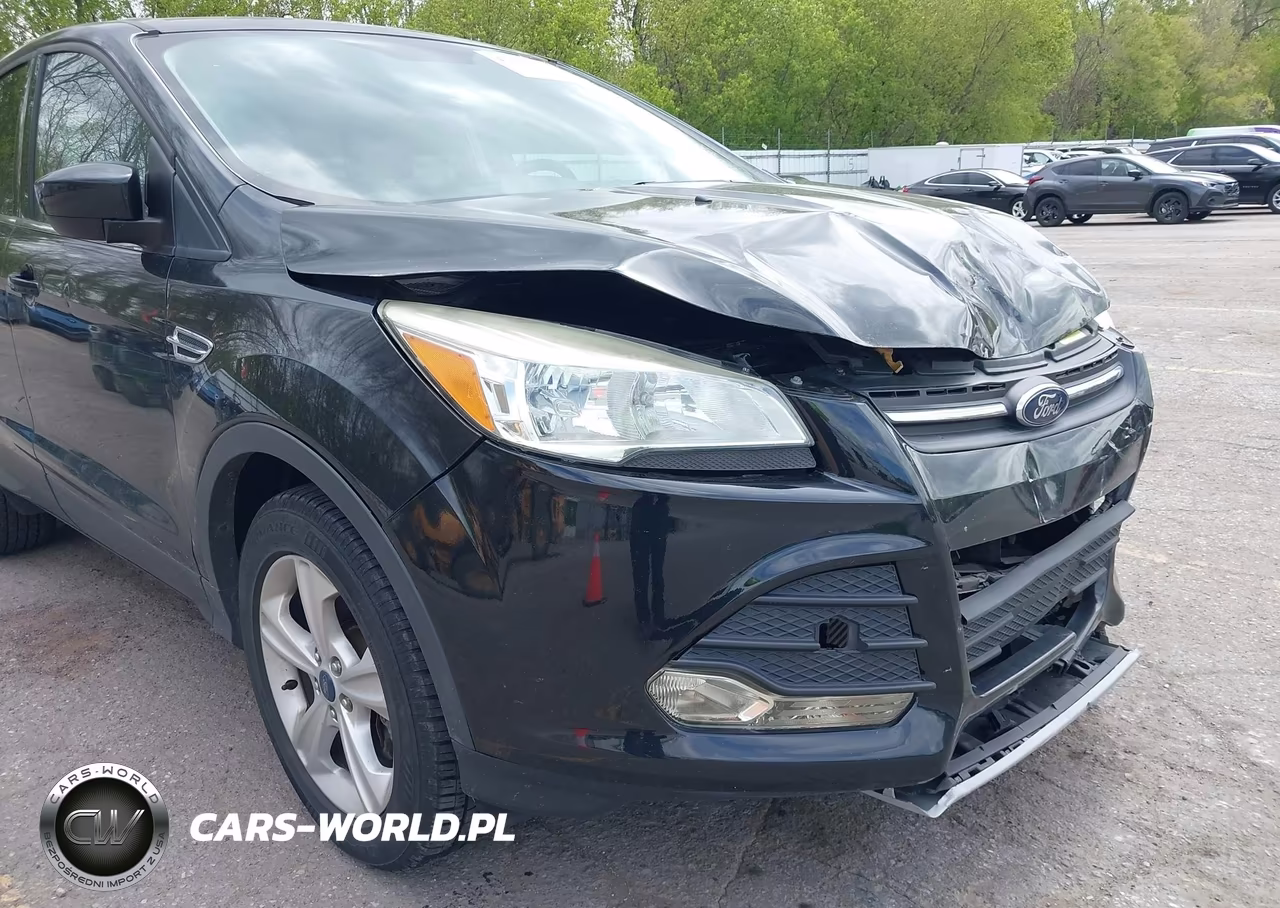 2014 Ford Escape Se VIN:1FMCU9GX4EUB78756 - 19