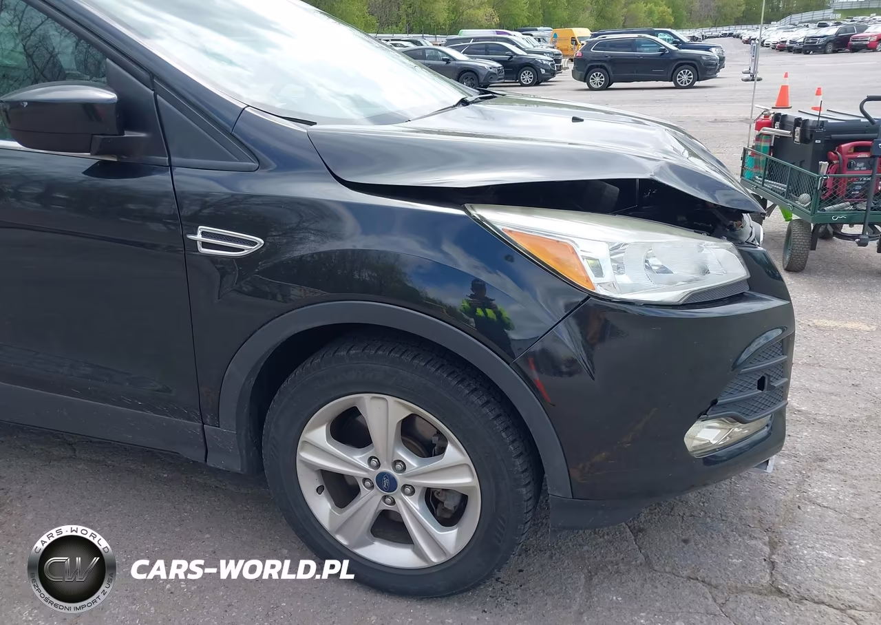 2014 Ford Escape Se VIN:1FMCU9GX4EUB78756 - 20