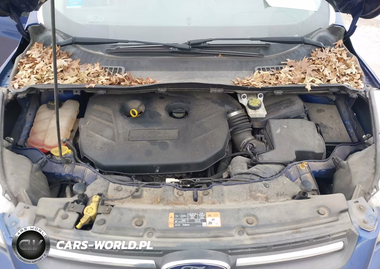 2015 Ford Escape Se VIN:1FMCU0G94FUB39793 - 10