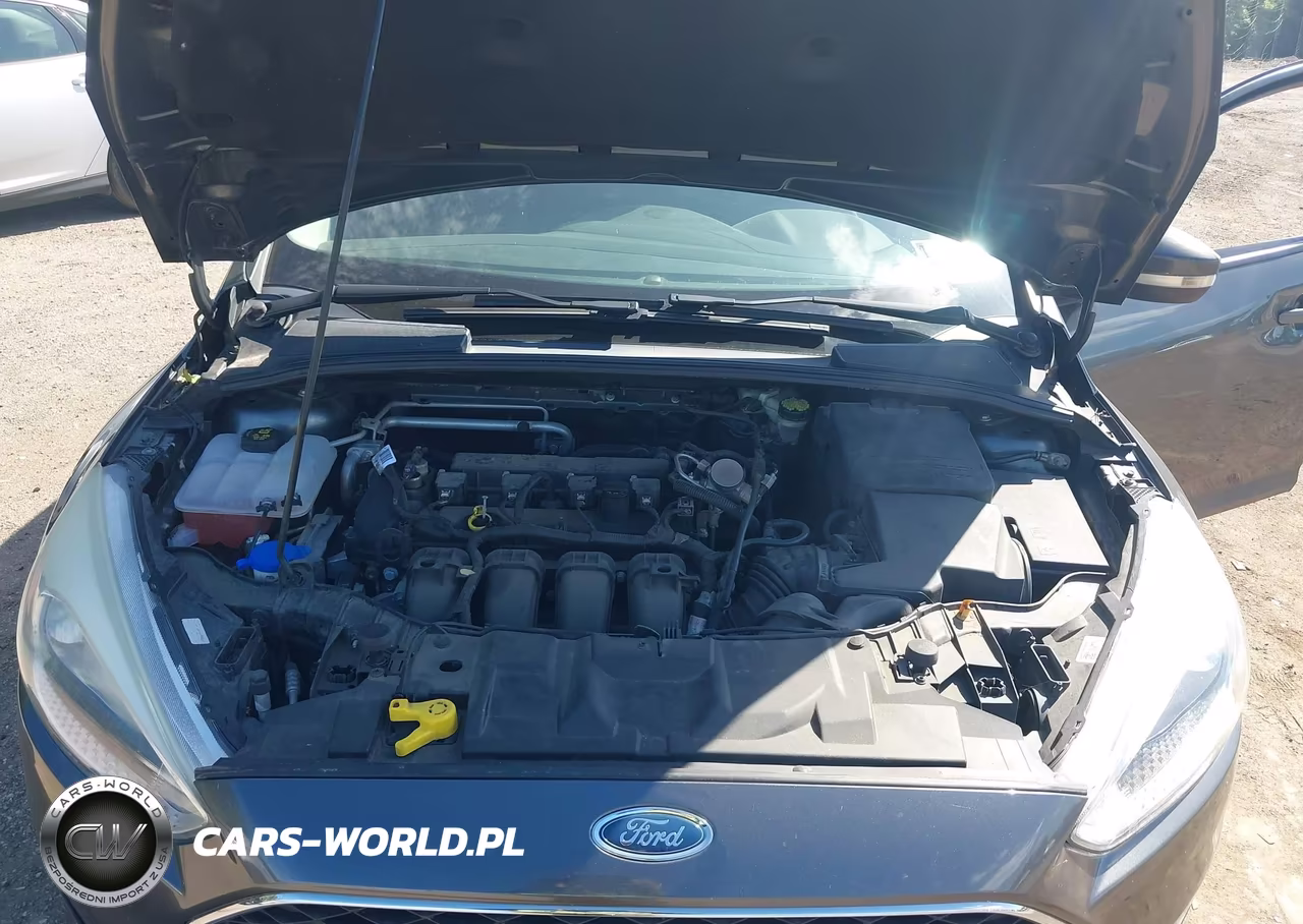 2016 Ford Focus Se VIN:1FADP3F27GL354247 - 10