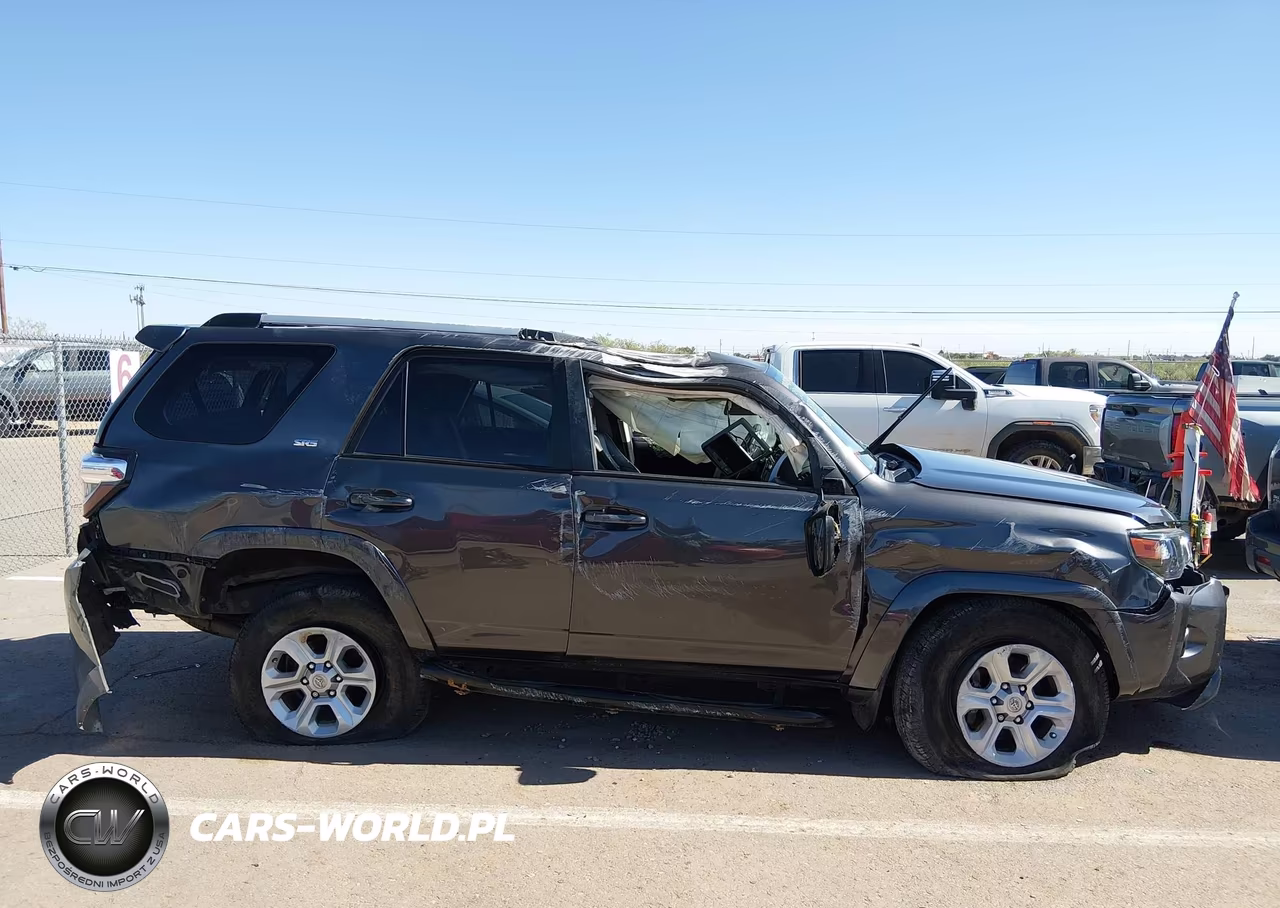 2019 Toyota 4Runner Sr5 Premium VIN:JTEZU5JR3K5205593 - 12