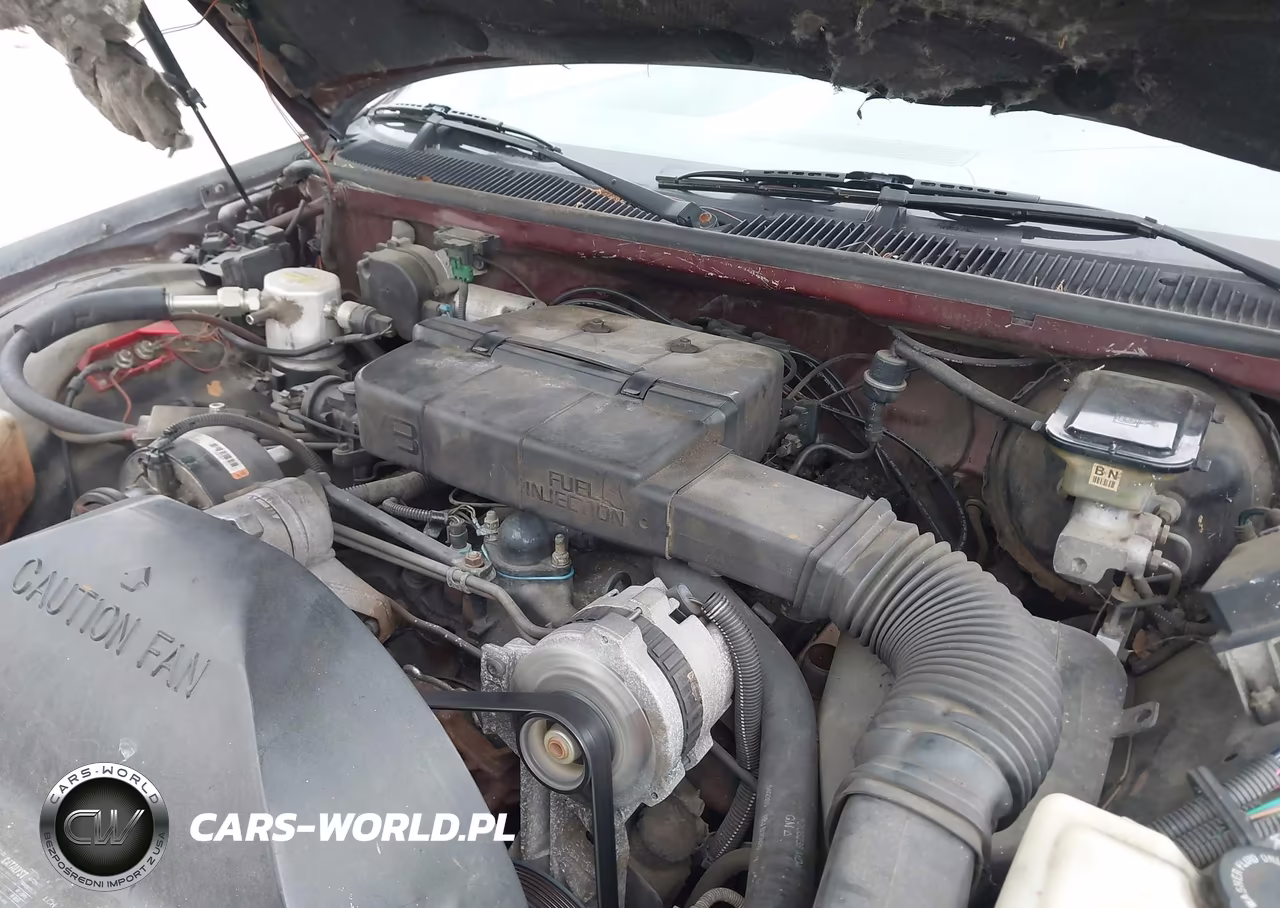 1991 Chevrolet Caprice Classic Ltz VIN:1G1BN53EXMW180999 - 10
