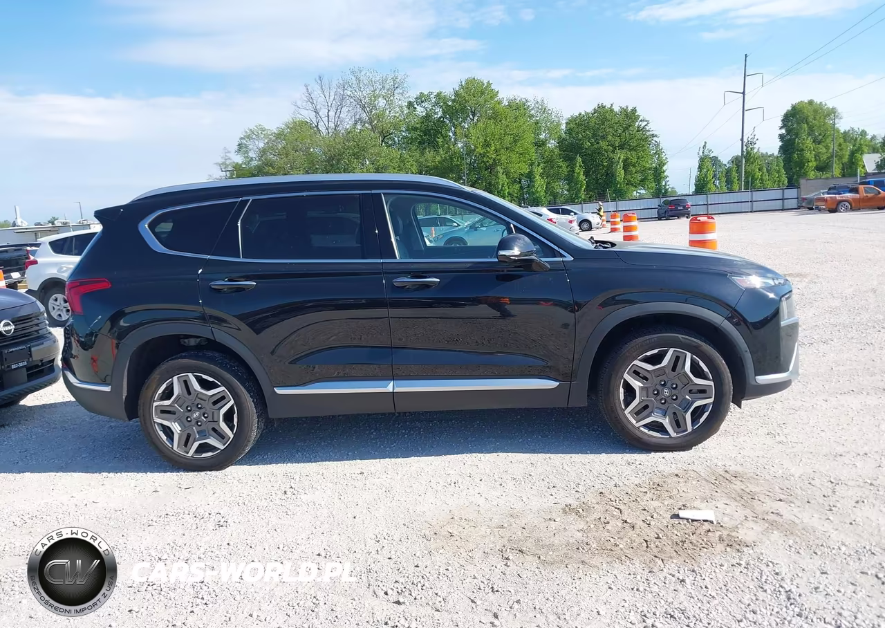 2023 Hyundai Santa Fe Limited VIN:5NMS4DALXPH532783 - 13