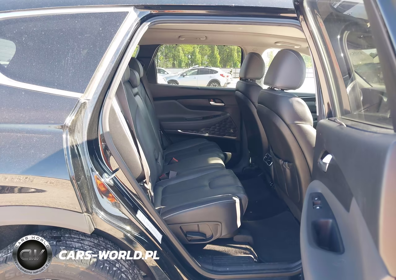 2023 Hyundai Santa Fe Limited VIN:5NMS4DALXPH532783 - 8