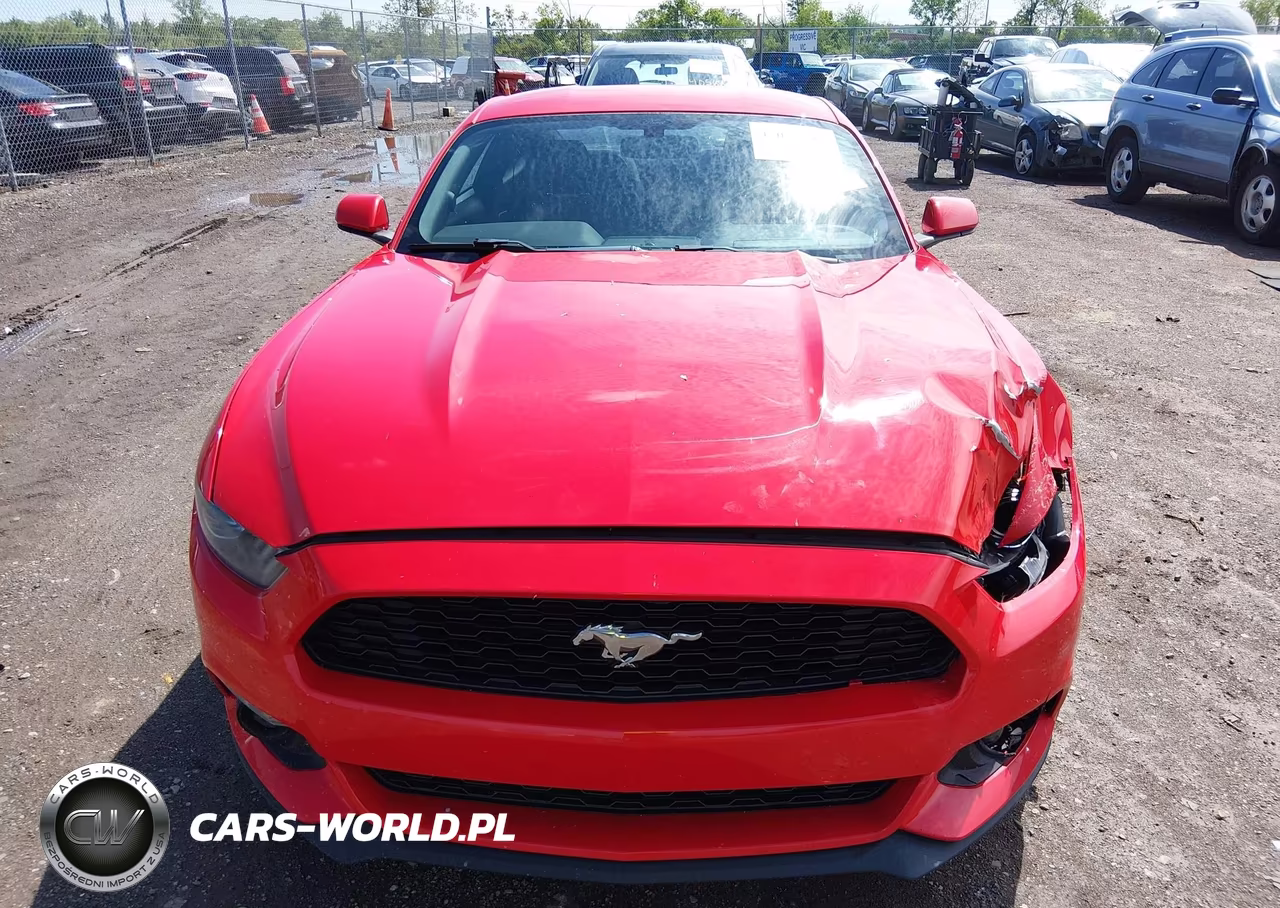 2016 Ford Mustang Ecoboost VIN:1FA6P8THXG5308656 - 11