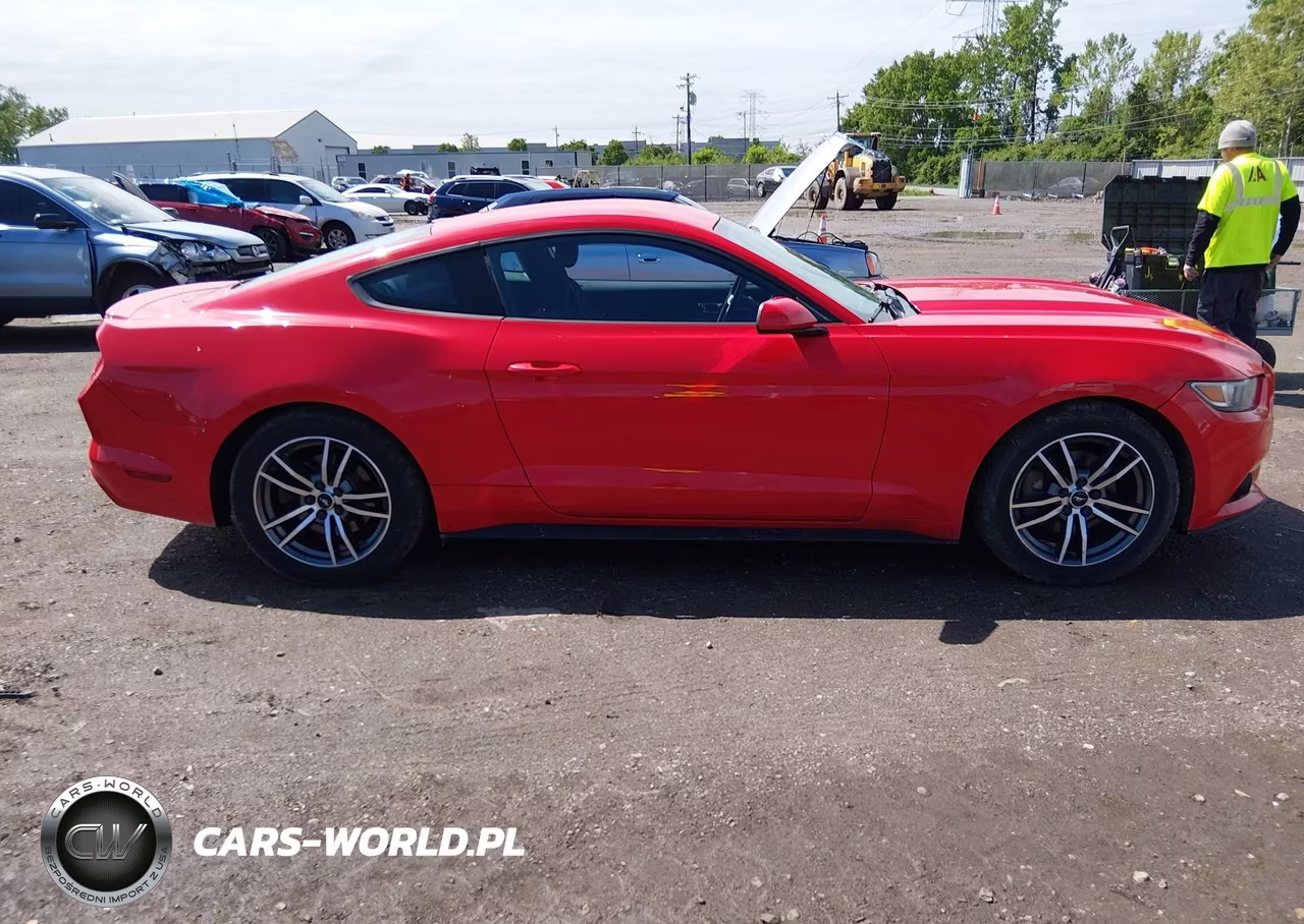 2016 Ford Mustang Ecoboost VIN:1FA6P8THXG5308656 - 12