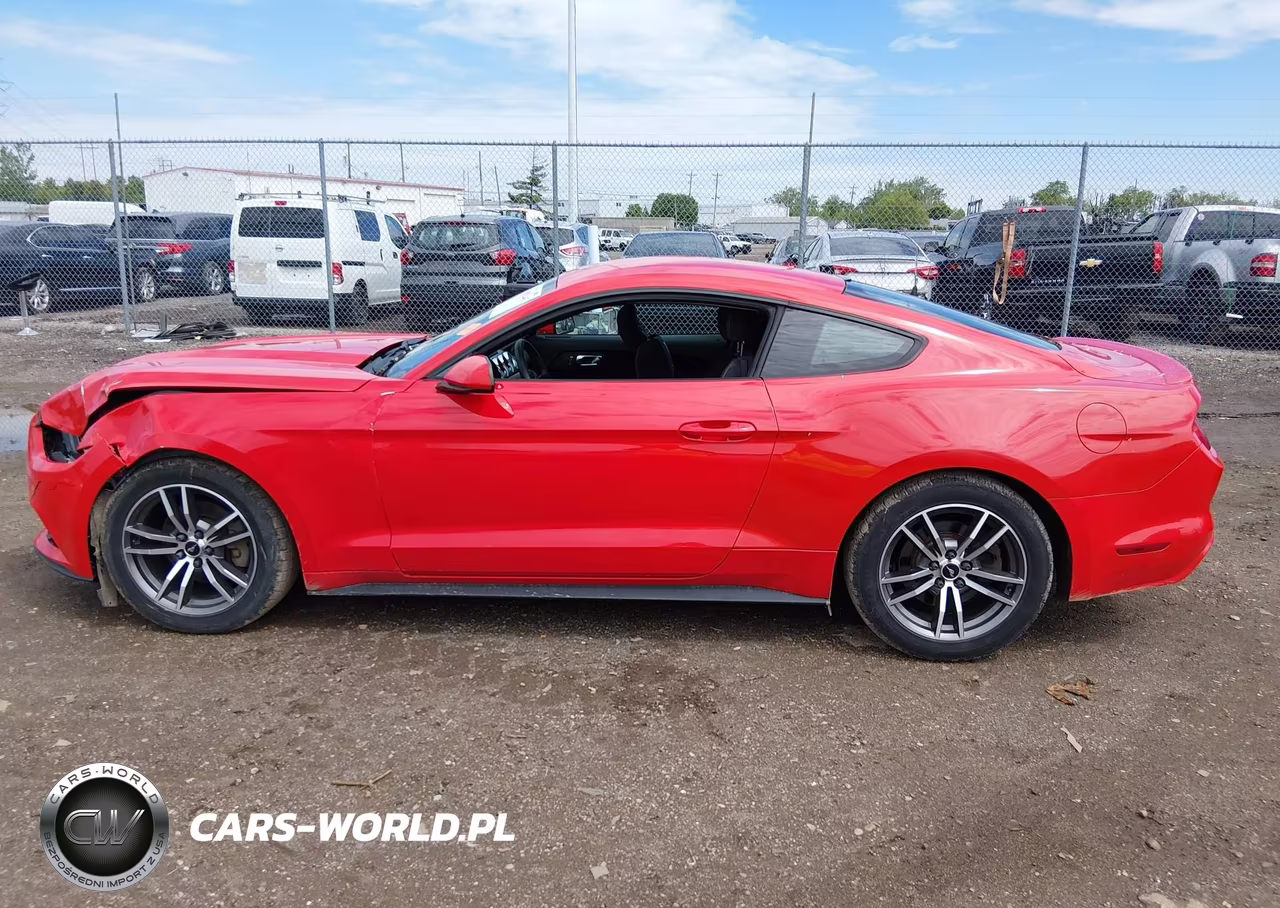 2016 Ford Mustang Ecoboost VIN:1FA6P8THXG5308656 - 13