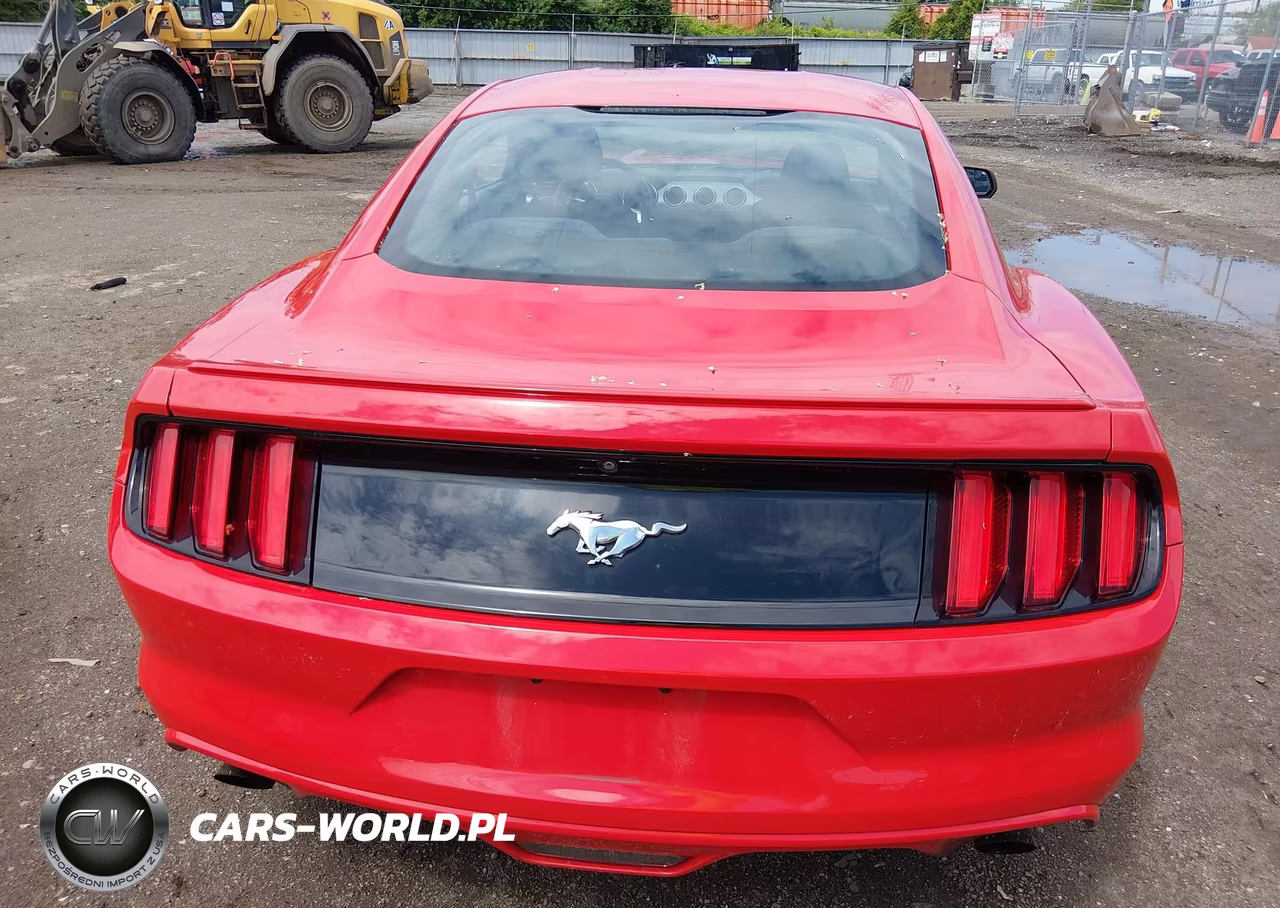 2016 Ford Mustang Ecoboost VIN:1FA6P8THXG5308656 - 15
