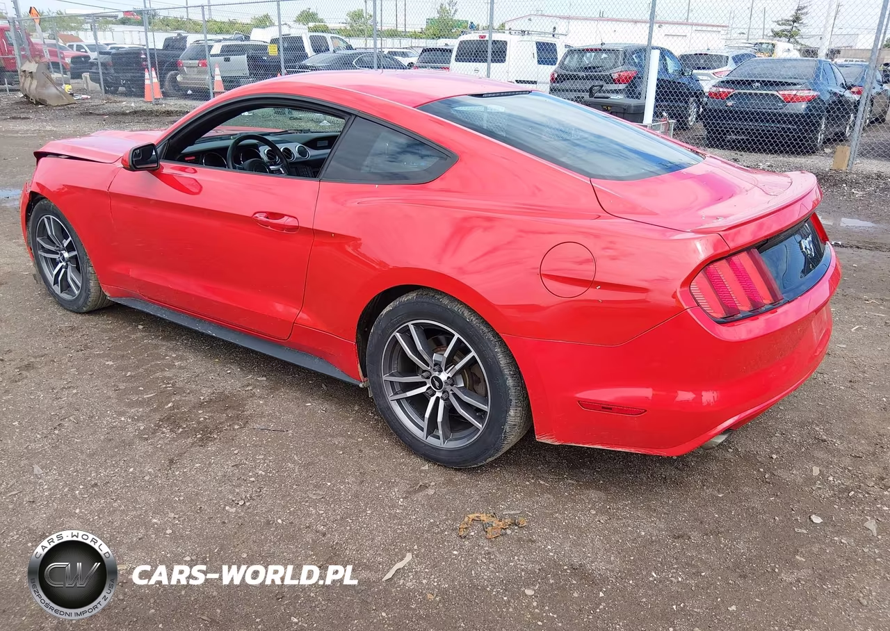 2016 Ford Mustang Ecoboost VIN:1FA6P8THXG5308656 - 3