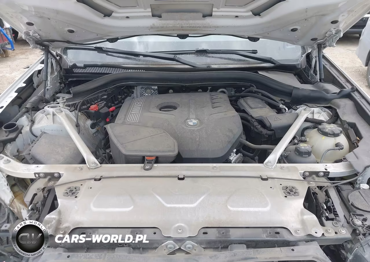 2019 BMW X3 Sdrive30I VIN:5UXTR7C50KLR45615 - 10