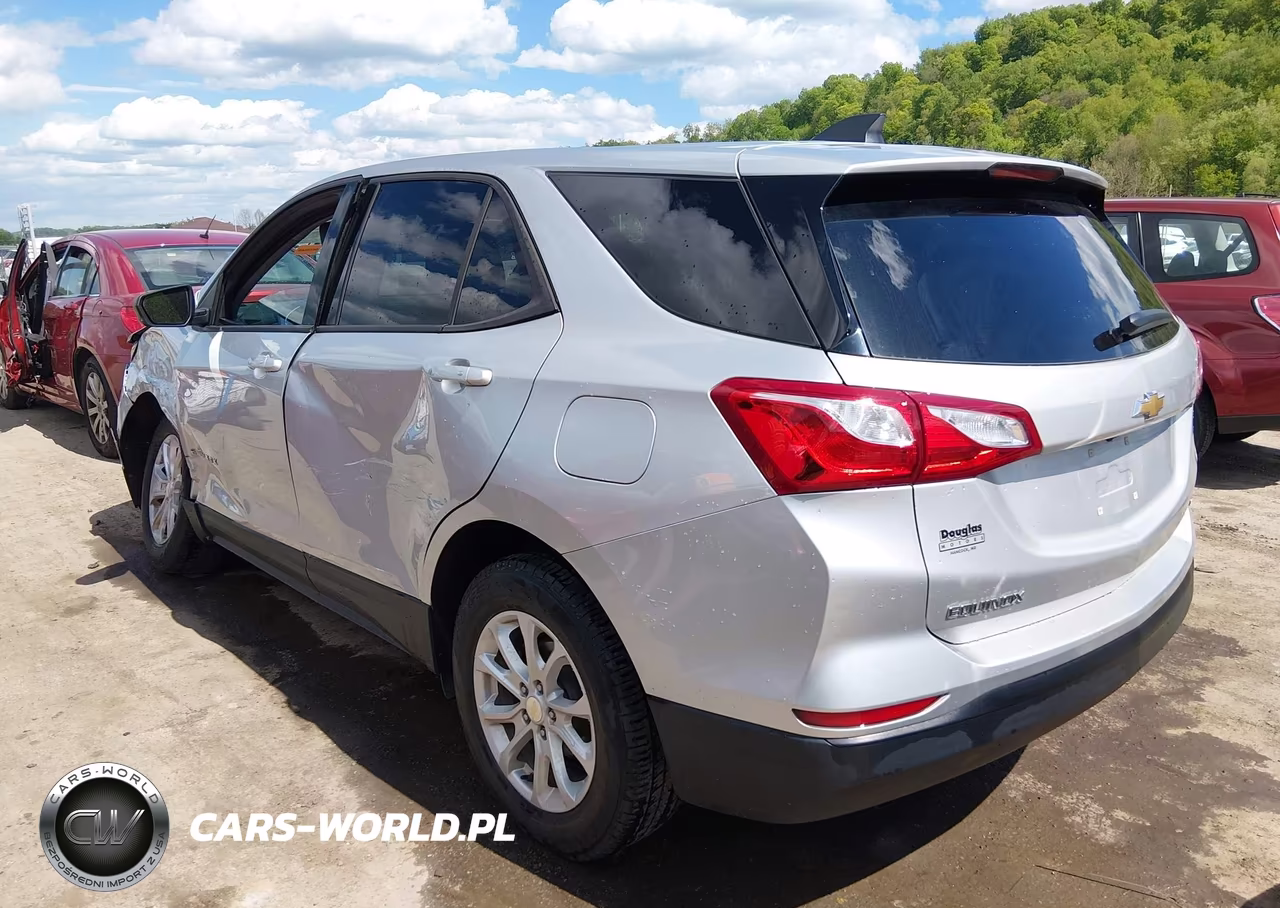 2019 Chevrolet Equinox Ls VIN:3GNAXSEV5KS630373 - 3