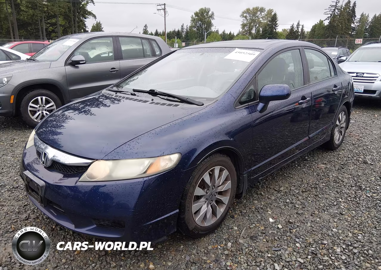 2009 Honda Civic Ex-L VIN:19XFA16989E007950 - 2
