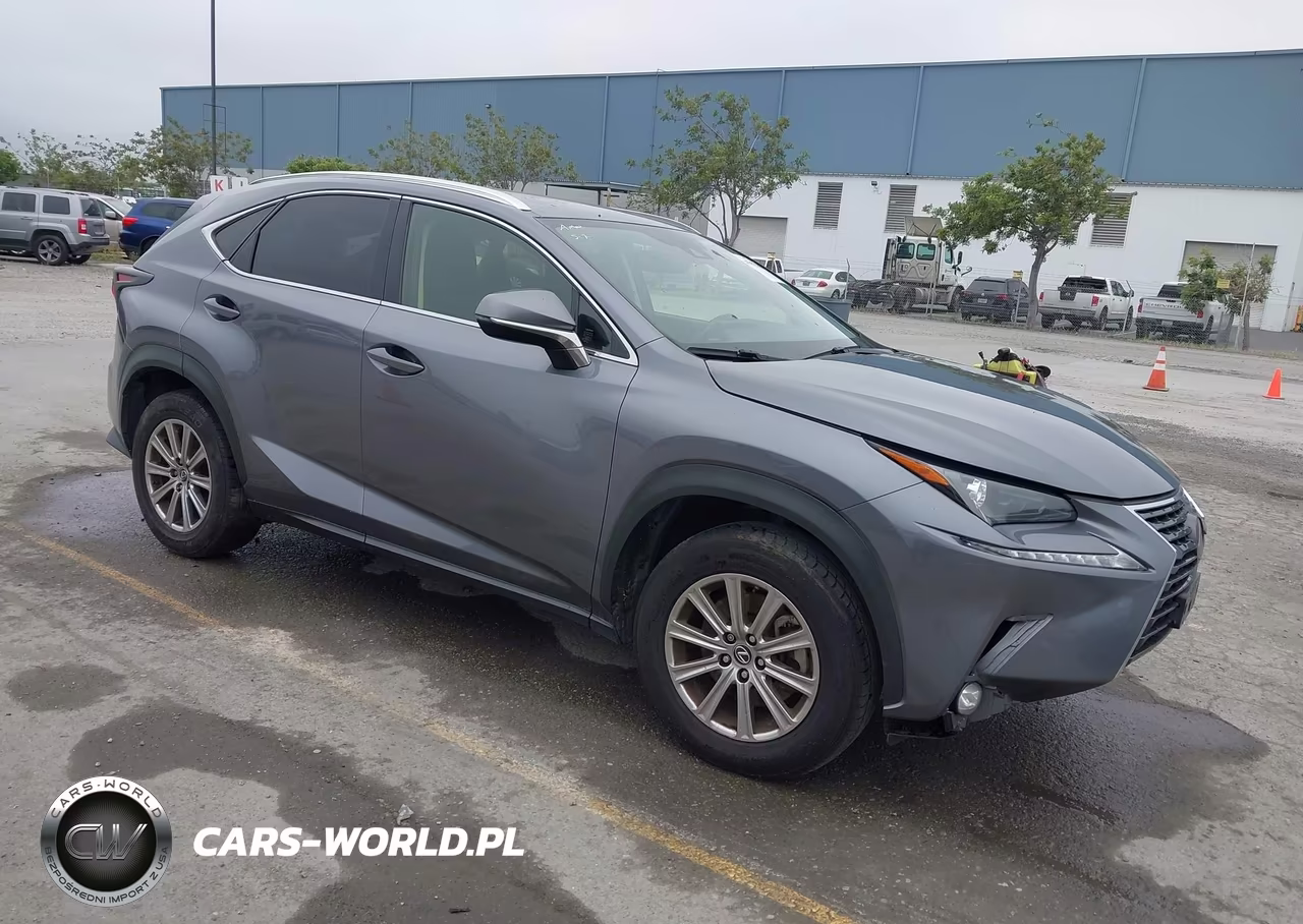2021 Lexus Nx 300