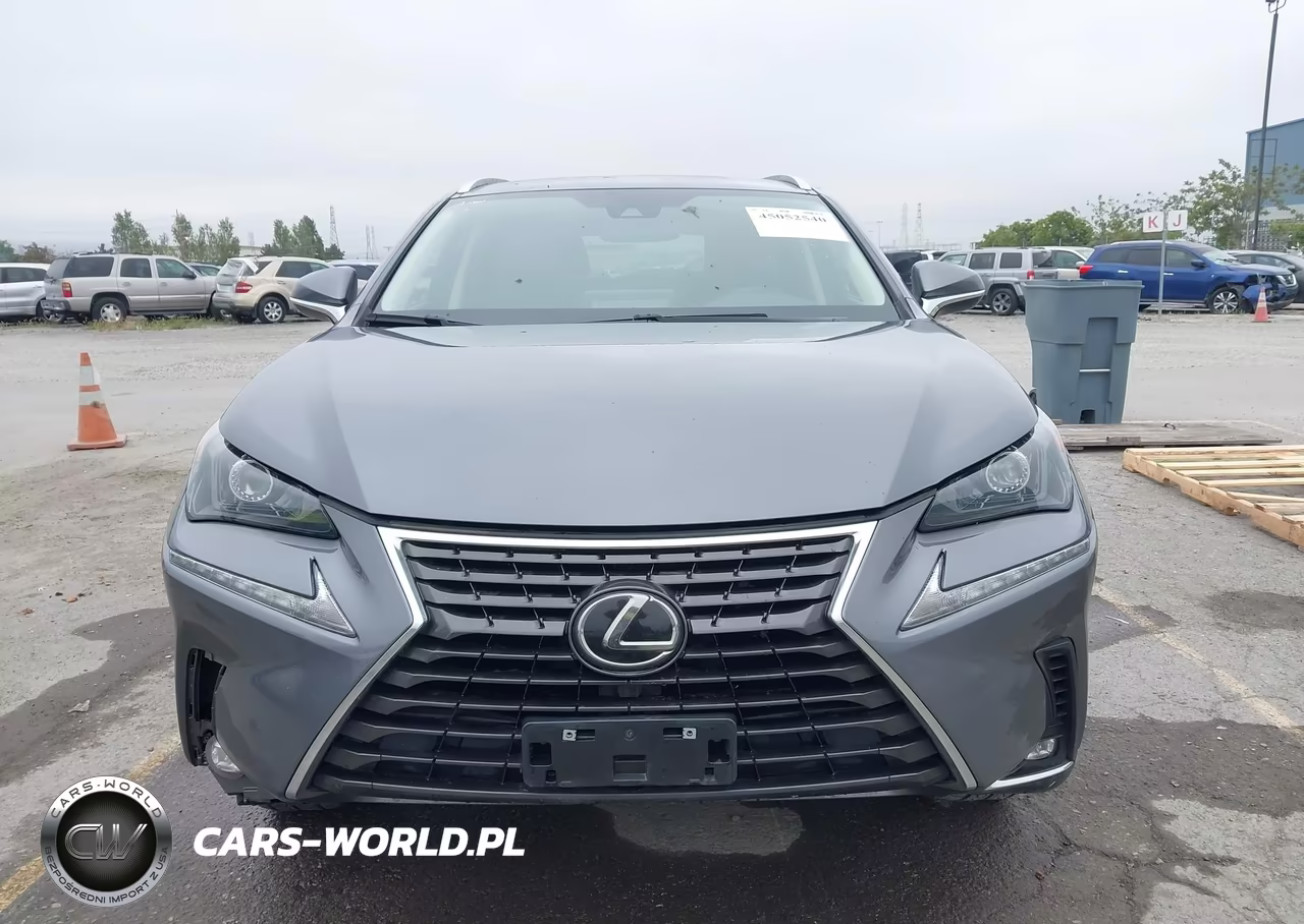 2021 Lexus Nx 300 VIN:JTJDARDZXM2253278 - 11