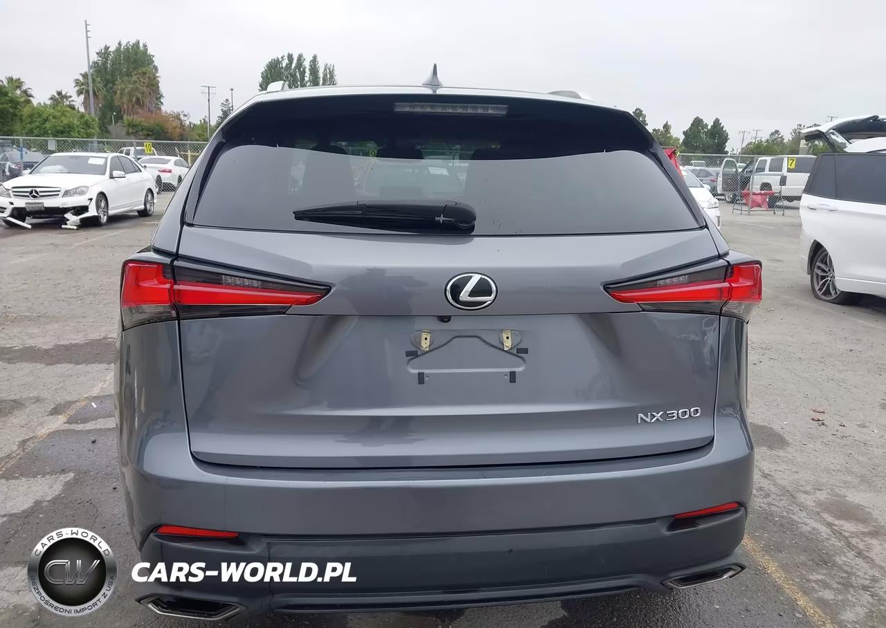 2021 Lexus Nx 300 VIN:JTJDARDZXM2253278 - 15