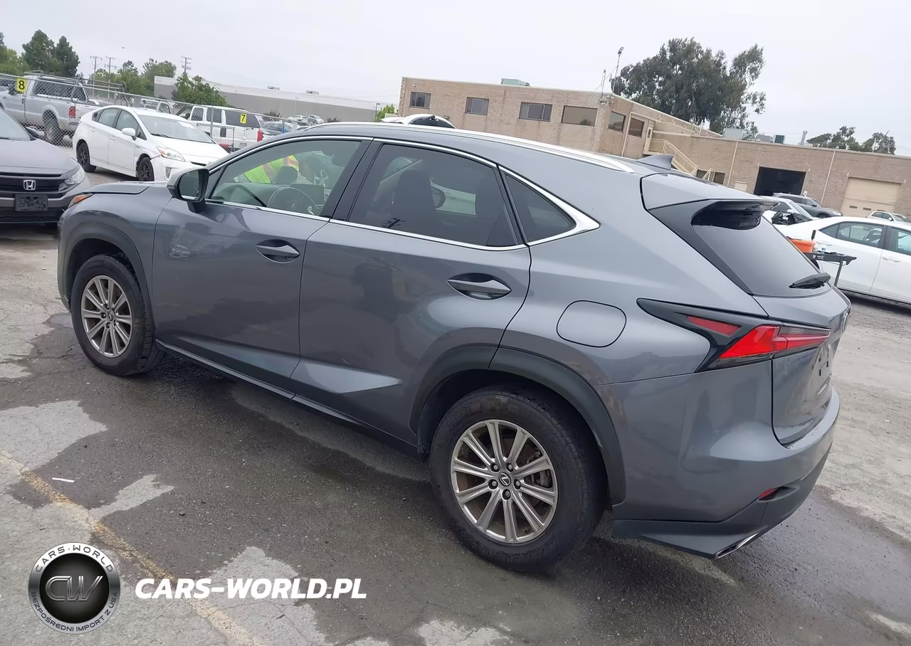 2021 Lexus Nx 300 VIN:JTJDARDZXM2253278 - 3